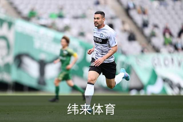 纬来体育